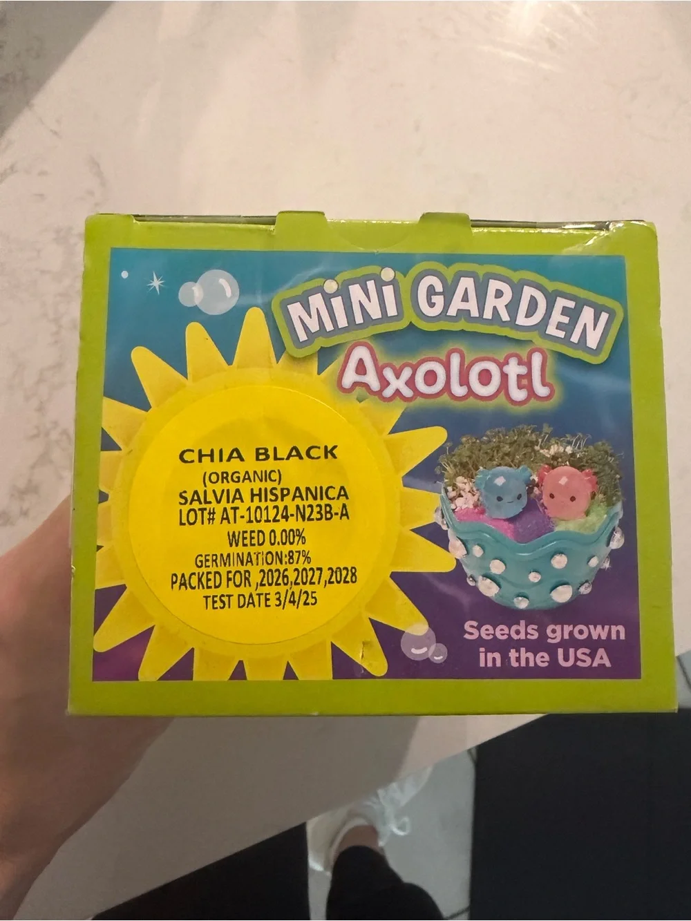 Axolotl mini garden
